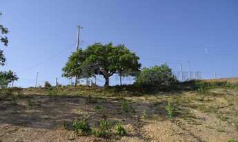 Imagem 3: Venda Lote-Área-Terreno Centro Juatuba