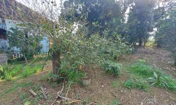 Imagem 6: Chácara para venda tem 12500 metros quadrados - Corupá - Santa Catarina