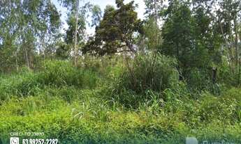 Imagem 7: Fazenda com potencial para agricultura no Pium-TO