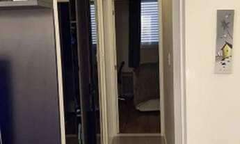 Imagem 6: Lindo apartamento em Itaquera