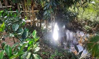 Imagem 5: Linda chácara em vargem alta