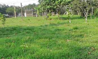 Imagem 4: Sobrado pra alugar com 3 suítes +1 dormitório, 330 m2 - Costeira, Barra do Sul - SC