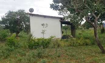 Imagem 2: Oportunidade, Chácara 3 Hectares ( Escriturada e Registrada