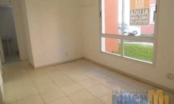 Imagem 3: Canoas - Padrão - Mato Grande