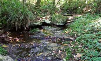 Imagem 3: Chácara Muniz R.210.000