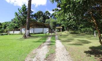 Imagem 3: Chácara com 1 dormitório à venda, 25892 m² por R$ 1.399.000,00 - Borda Do Campo - São José