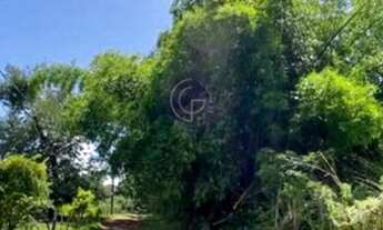 Imagem 6: EXCELENTE CHÁCARA À VENDA DENTRO DE GOIÂNIA