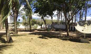 Imagem 6: Alugo casa para comércio