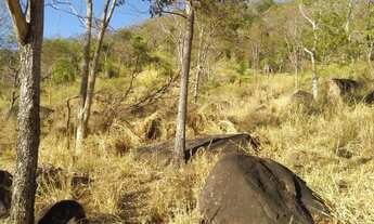Imagem 5: Fazenda para venda possui 59 alq. munícipio de Fazenda Nova/GO