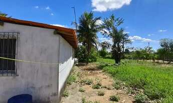 Imagem 3: Sítio no Cassange 4/4