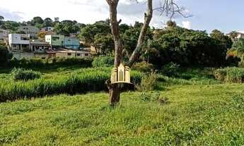 Imagem 5: Lote em Novo Retiro - Esmeraldas