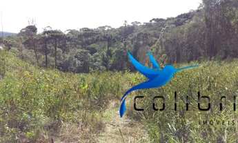 Imagem 3: Linda área para lazer, moradia ou preservação em Agudos do Sul - PR