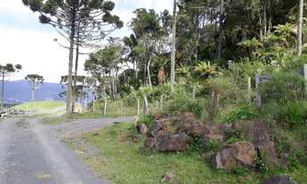 Imagem 4: Terreno Rural com Cabana