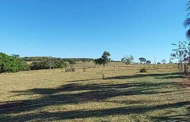 Imagem 3: Fazenda em ituiutaba 100 alqueirão 20.000.000.00 ( jam-ali
