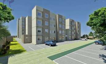 Imagem 3: Apartamentos nonos no siqueira