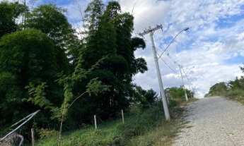 Imagem 4: Chácara 5000 m2 em Conceição do Pará - MG