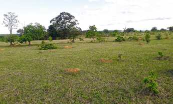 Imagem: FAZENDA EM ALEXANIA - Goiás