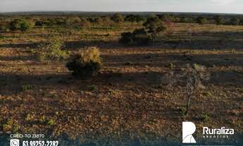 Imagem 3: Fazenda excelente para conversão em lavoura