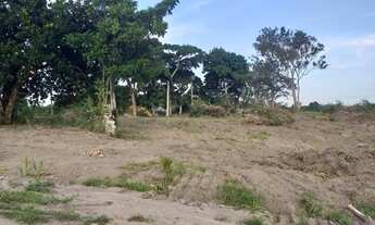 Imagem 4: Loteamento aberto em Chã Grande-PE