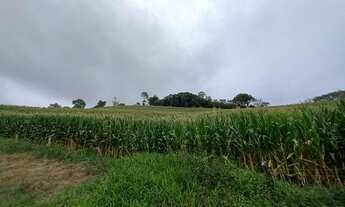 Imagem: Fazenda/Sítio/Chácara para venda tem 90000