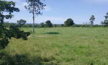Imagem 4: Fazenda - Itapirapuã (GO