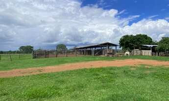 Imagem 5: Fazenda a venda com 154 alqueires em Nova Crixas - GO