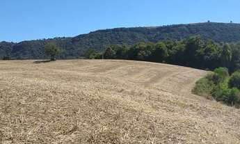 Imagem: Chácara Balsa Nova Bugre 20.000m², espetacular