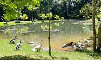 Imagem 5: Chácara Itaberaí com 1 alqueire e 14 litros