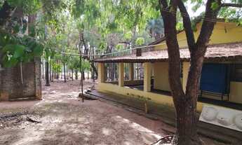 Imagem 5: Fazenda - Professor Jamil (GO