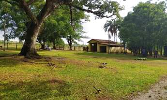 Imagem 3: Fazenda - Professor Jamil (GO