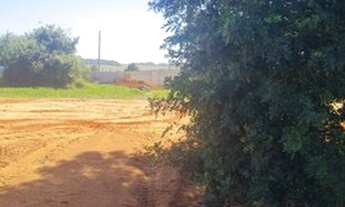 Imagem 2: BALNEáRIO RINCãO - Terreno Padrão - Lagoa dos Esteves