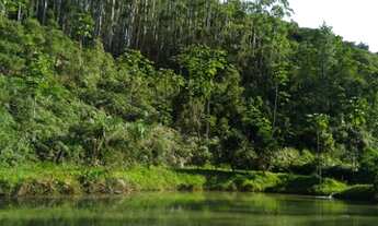 Imagem 4: Sítio a venda - Nova Trento - SC