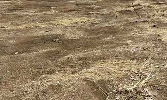 Imagem 4: Chácara em Miracema. 300mil