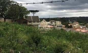 Imagem 4: Terreno - Abranches