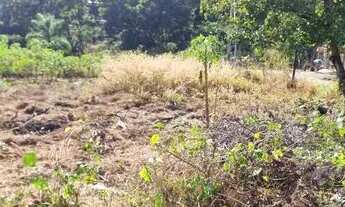 Imagem 4: LOTE PARA CONSTRUIR OPORTUNIDADE. Parque DAS AMENDOEIRAS LOTE ESQUINA 422.MTS