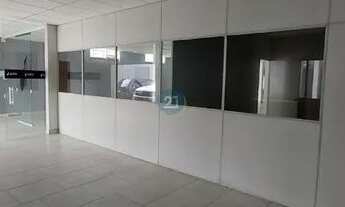 Imagem 7: SÃO JOSÉ - COMERCIAL - ROÇADO