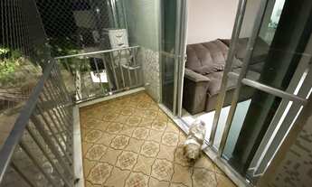 Imagem 3: Vista Alegre - Maravilhoso! 2Quartos (1 suite com closet) vaga - Financia!