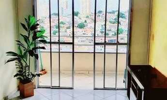 Imagem 2: BARUERI - Padrão - Jardim Barueri