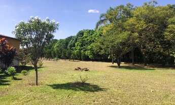 Imagem 5: Vendo ou troco belíssima chácara para laser, hotel fazenda, sistema de hortaliças orgânica