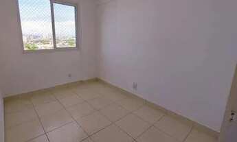 Imagem 5: Arboris Jabotiana