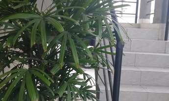 Imagem 2: Apartamento para aluguel possui 43 metros quadrados com 1 quarto