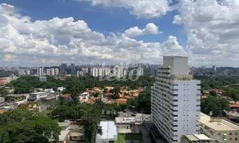 Imagem 5: São Paulo - Apartamento Padrão - Santo Amaro