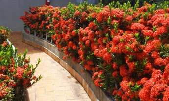 Imagem 4: Apartamento de 60 metros quadrados no bairro Horto com 1 quarto