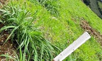 Imagem 5: Chácaras Trevizo - Fazenda/Sitio