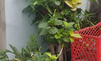 Imagem 2: Casa para aluguel sem mobília com 02 Quartos ,Rio Vermelho sem Garagem