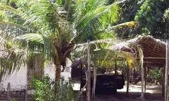 Imagem 2: Sítio Povoado Santa Tereza