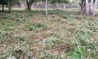 Imagem 3: Sítio Terreno no km 12 do Tauá