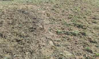 Imagem 6: Lote para locação bairro Morada do Sol Conselheiro Lafaiete MG