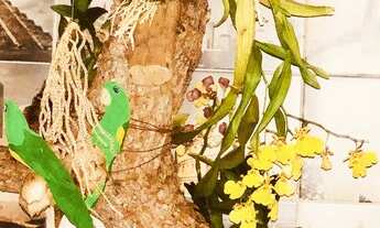 Imagem 7: Kitnet Mobiliada com agua, luz e academia sem condominio no final Setor Bueno - Goiânia