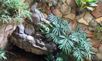 Imagem 3: Kitnet Mobiliada com agua, luz e academia sem condominio no final Setor Bueno - Goiânia